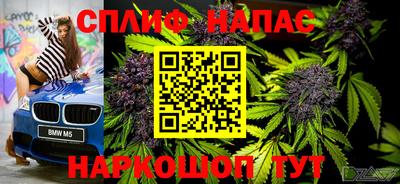 гидра Мариинск