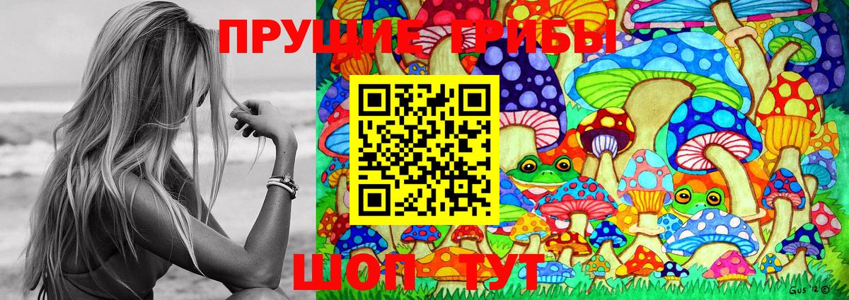 Псилоцибиновые грибы мухоморы  Вход с VPN  Янаул  Галлюциногенные грибы Psilocybe 