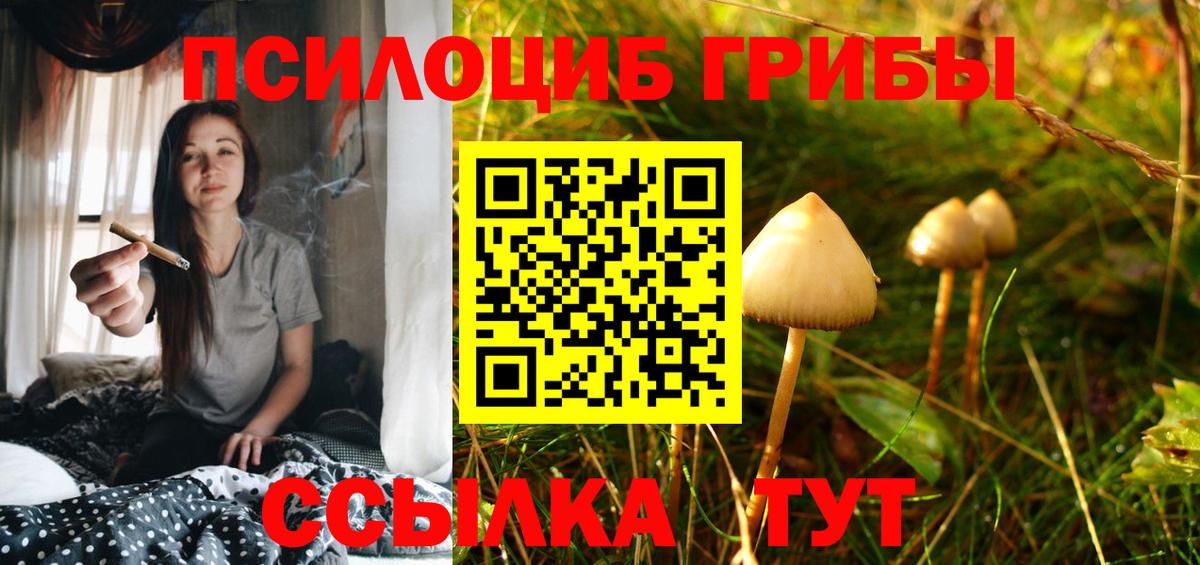 Галлюциногенные грибы Magic Shrooms Янаул