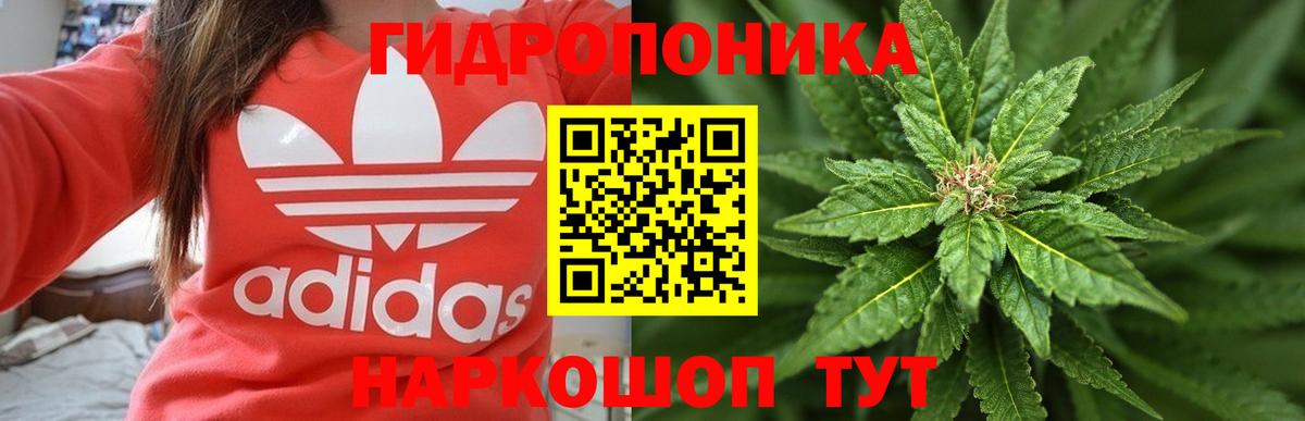Бошки марихуана конопля  МАРИХУАНА план  МАРИХУАНА планчик  Вход с VPN  Янаул 